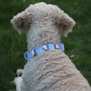 Light Blue Waterproof Dog Collar