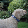 Navy Waterproof Dog Collar